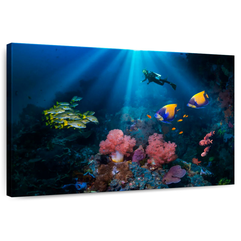 Aletra Thai Reef Scuba Diver, 8" H x 12" W