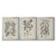 Antique Black and White Botanical VII - Ensemble de 3 peintures sur toile encadrées-1460172372-1460172373