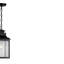 Luminaire suspendu d'extérieur noir 1 lumière Pinal