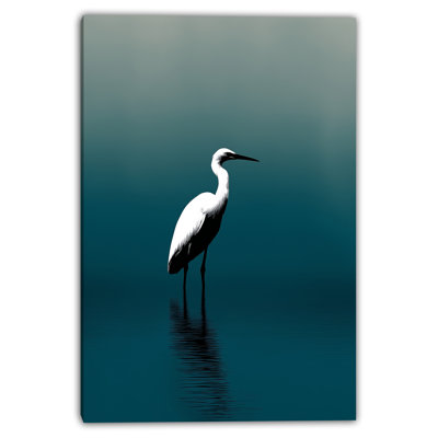 Toile tendue solitaire aigrette dans les eaux bleu sarcelle