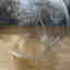 Photos des clients 2 de 9