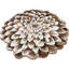 Tapis botanique Vidrine-123728775