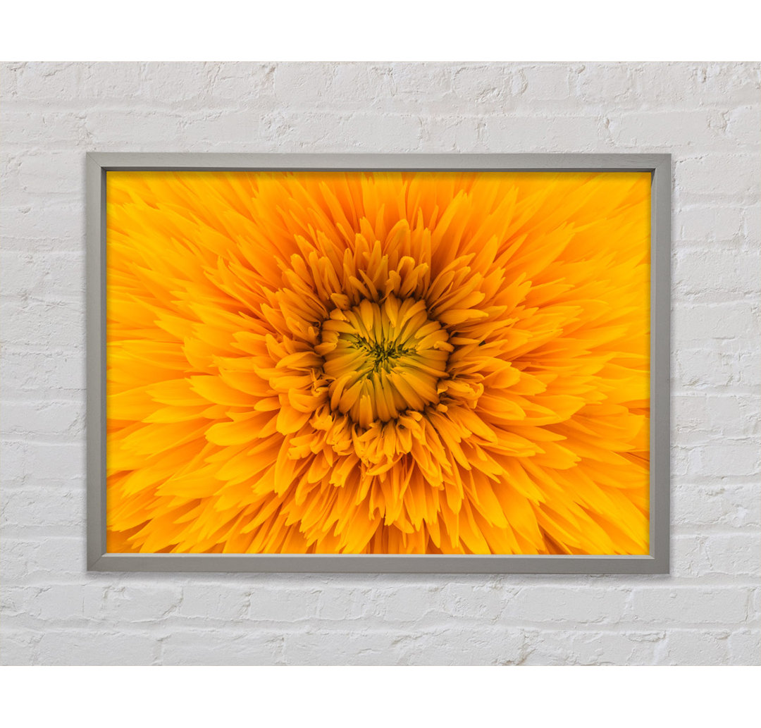 Gorgeous Yellow Flower Delight - Single Picture Frame Kunstdrucke auf Leinwand