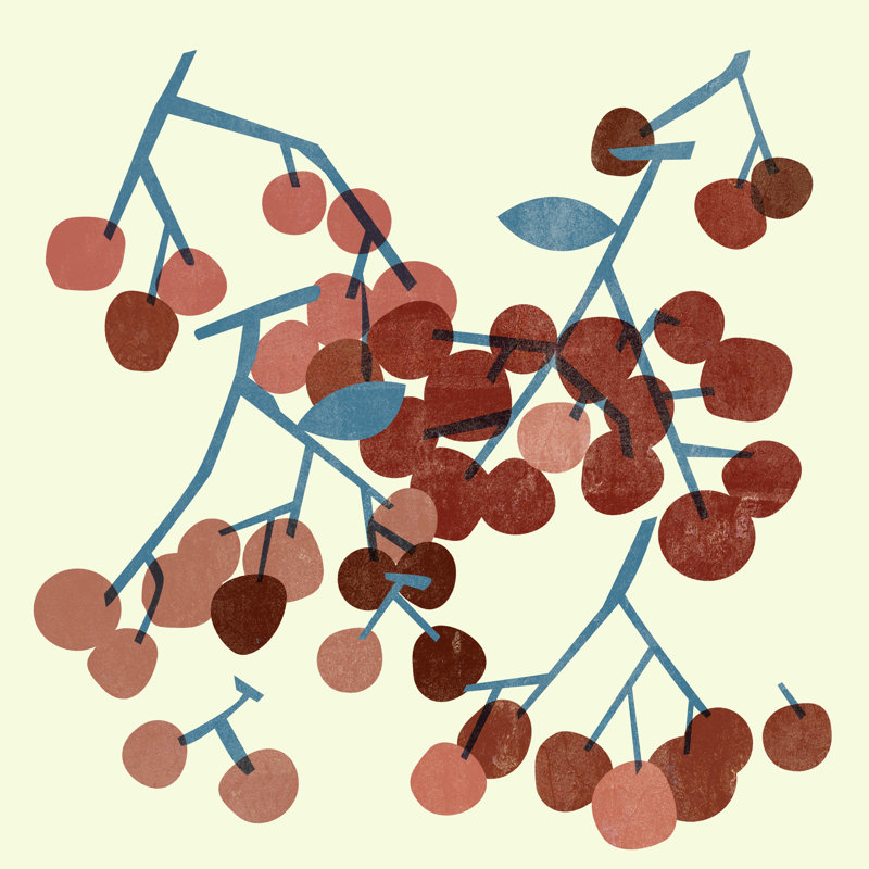 Sweet Cherries I by Melissa Wang - Wrapped Canvas Print, 30cm H x 30cm W x 3.8cm D