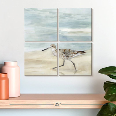 Brampt Speckled Willet II