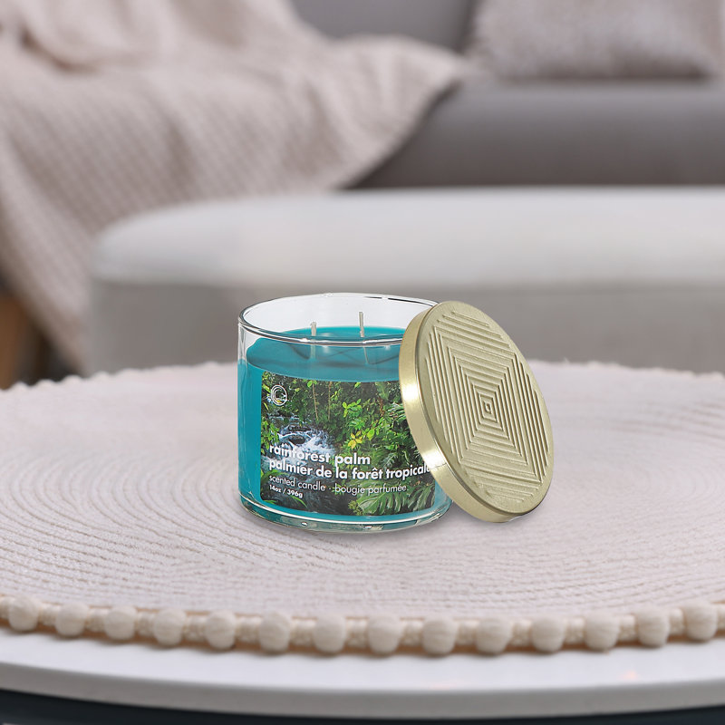 Ensemble de 2 bougies 14 oz 3 Wick Jar