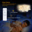10-Light Dimmable Led Modern Ceiling Lamp With Remote Control-1713356141