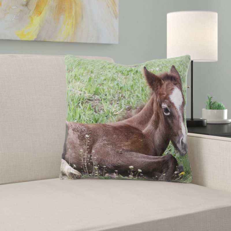 Coussin décoratif animal