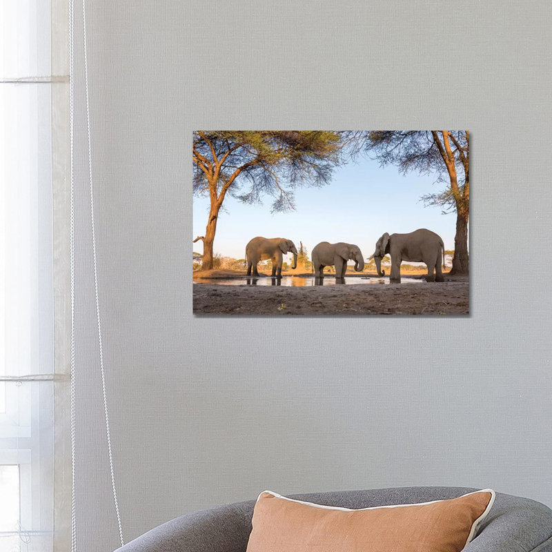 Africa, Botswana, Senyati Safari Camp Elephants At Waterhole by Jaynes Gallery - Wrapped Canvas Print