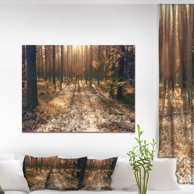 Road in Dark Wooded Forest - Reproduction de photo sur toile tendue