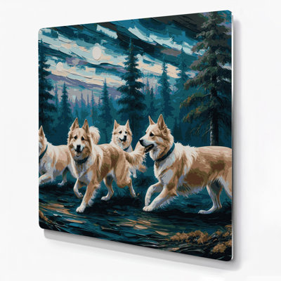 Dogs Norwegian Buhund Gray Metal Wall Art