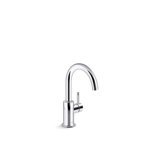 Contemporary Beverage Faucet