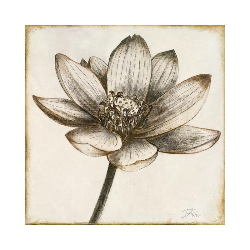 Sepia Lotus II by Patricia Pinto - Wrapped Canvas Gallery-Wrapped Canvas Giclée, 45.72cm H x 45.72cm W