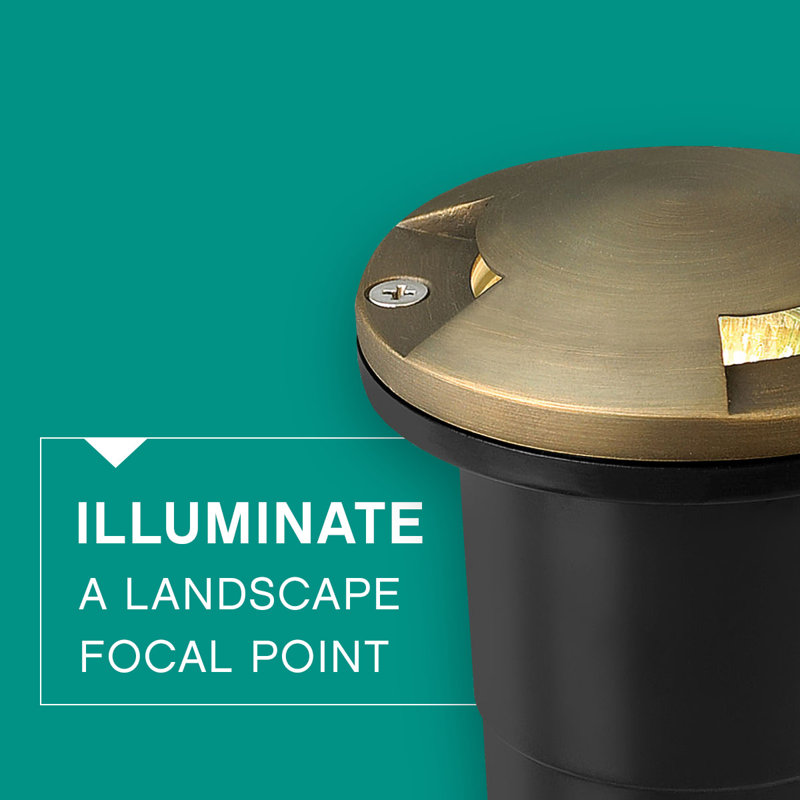 Hardy Island Low Voltage Hardwired Well Light