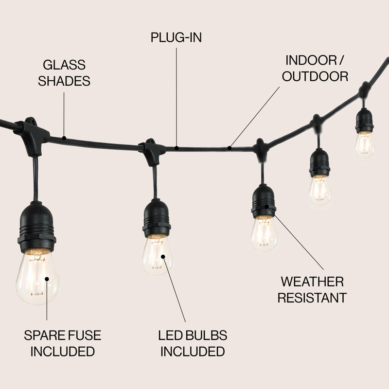 Beant 48' Outdoor 15 - Bulb Standard String Light (End to End Connectable)