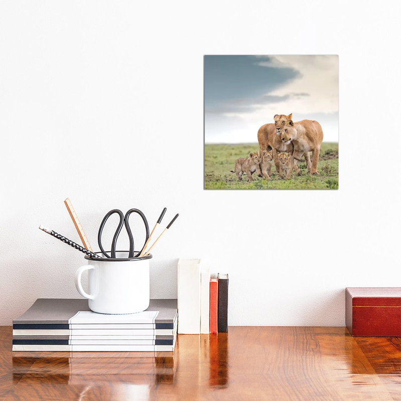 Colour Lioness & Cubs by Klaus Tiedge - Print on Canvas, Wrapped Canvas, 66.04 cm H x 66.04 cm W x 3.175 cm D