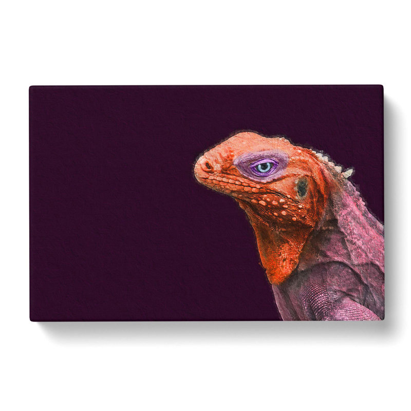 Red And Purple Iguana Lizard - Wrapped Canvas, 35cm H x 50cm W x 3cm D