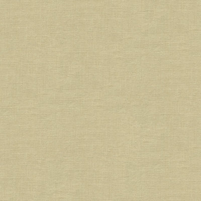 Perfect Plains Dublin Linen Fabric