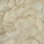 Abstract Shell Print