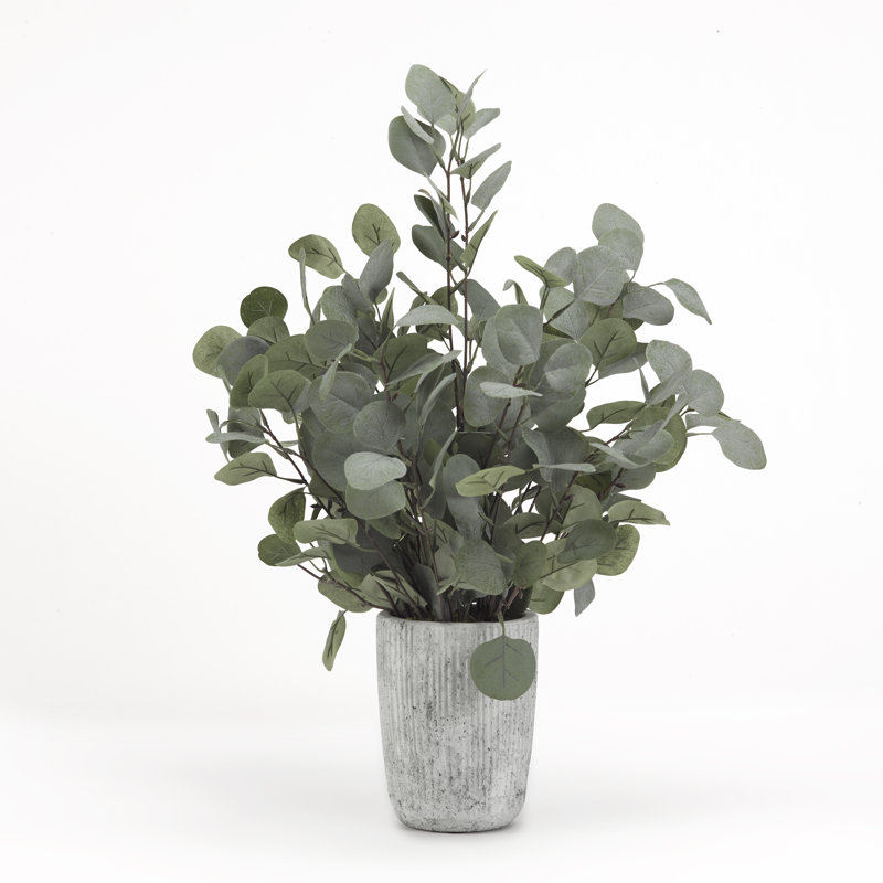 24'' Faux Eucalyptus Plant in Cement Planter