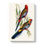 Adelaide Parakeets - Wrapped Canvas-55368784