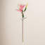 37-Inch Lily Stem