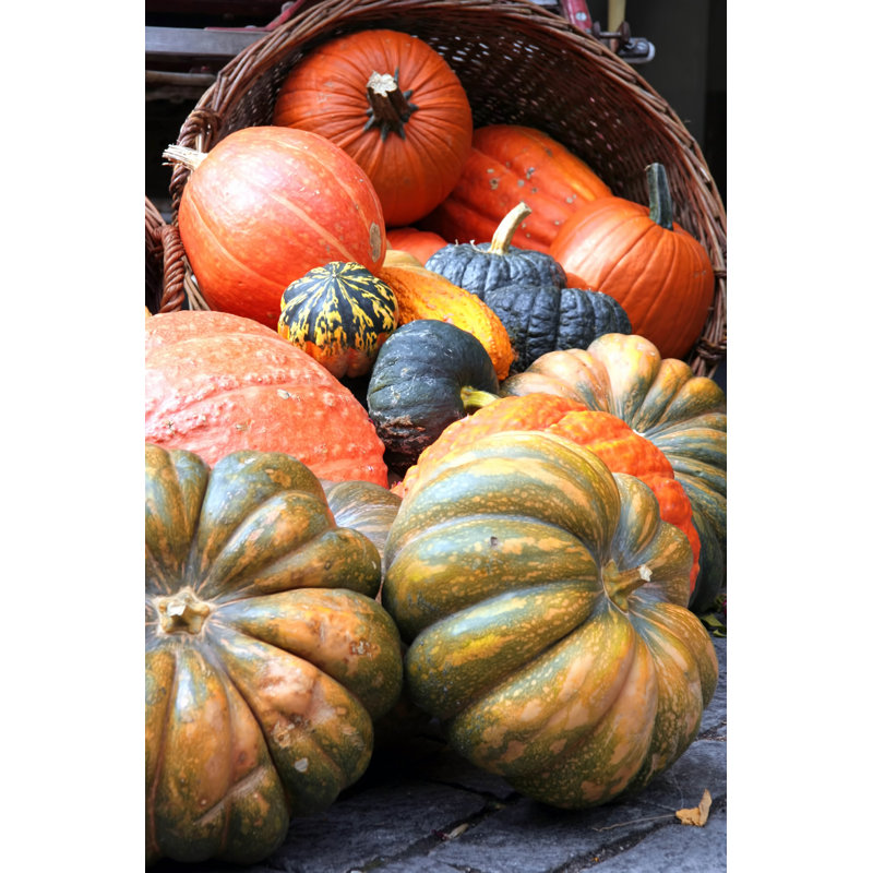 Spilled Basket Of Pumpkins by Aloha_17 - Wrapped Canvas Print, 76cm H x 51cm W x 3.8cm D