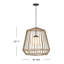Luminaire suspendu Hinkley Arlen