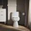 Cimarron® 1.28 GPF Water Efficient Elongated One-Piece toilet (Seat Included)-1531753155-1548364236