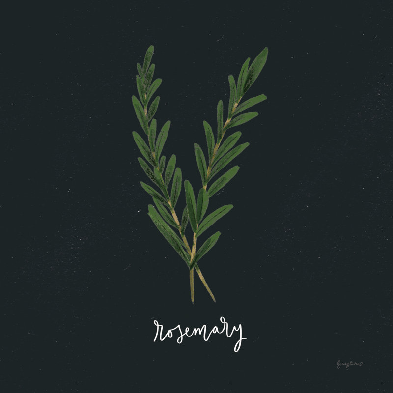 Herbs III Black by Becky Thorns - Wrapped Canvas Print, 30cm H x 30cm W x 3.8cm D