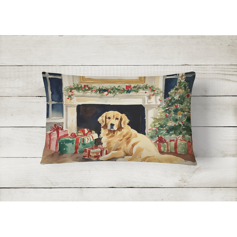  Other/No Pattern Throw Pillow