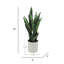 Plante de serpent artificielle Sansevieria en pot-264870799
