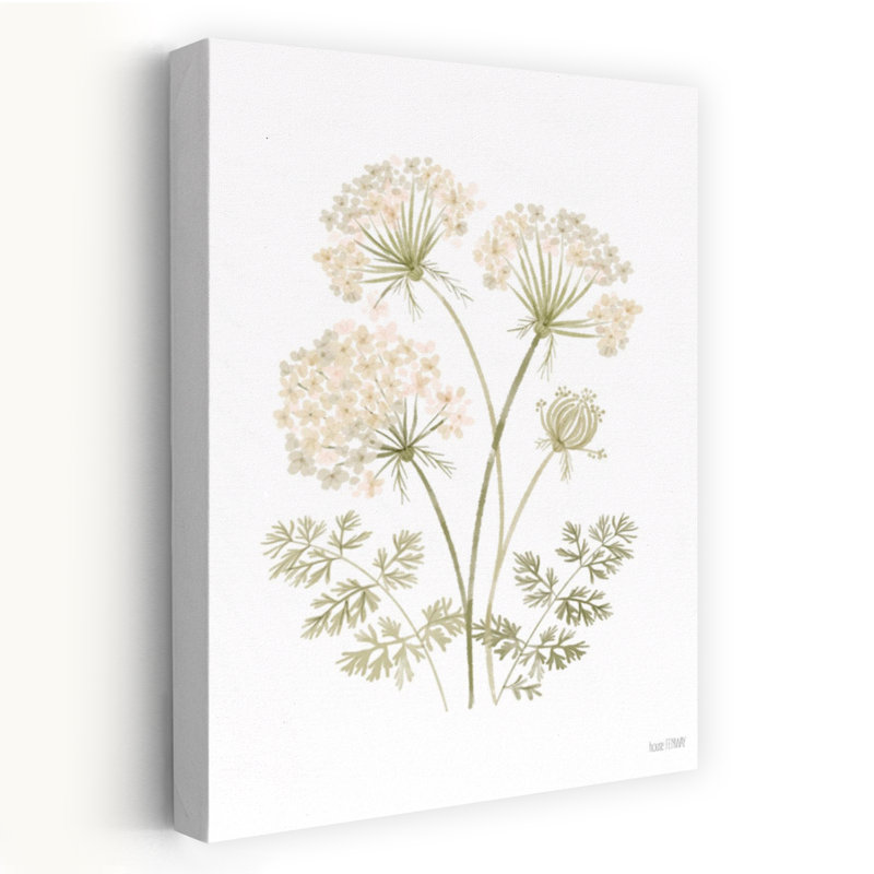 Anne's Lace II, art abstrait contemporain de fleurs, H 60 po x l 40 po