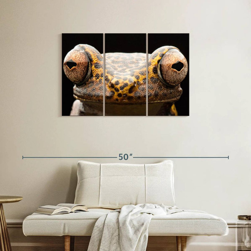 Brampt Tree Frog Eyes, 24" H x 38" W