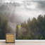 Murale pin et brume-88769879