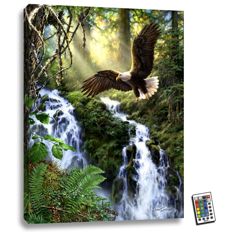 Eagle's Flight 18 x 24 entièrement imprimé à DEL ColorChange