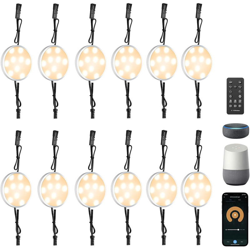 Ensemble de 12 ampoules intelligentes à DEL à intensité variable avec Alexa et Google Home, APP et télécommande, CCT blanc réglable, câblé ou à brancher pour bibliothèque de comptoir de cuisine