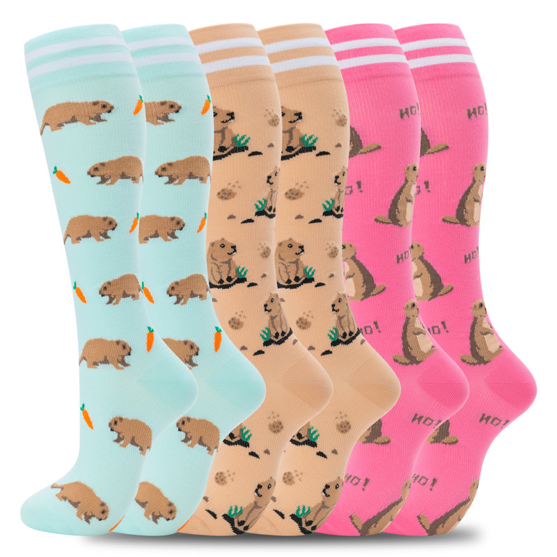 Chaussettes de compression pour femmes supportant 6 paires de chaussettes de circulation pour voyage-L, 6 pièces, Capybara