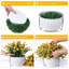 Arrangement en panier-1324873731