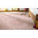 Amedee Performance Floral Indoor/Outdoor Area Rug