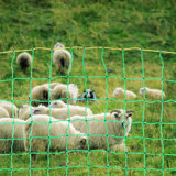 Static Electric Fence