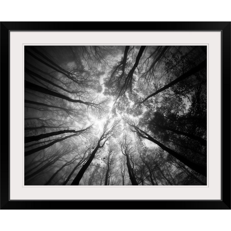 Straub, reproduction de photo, Cadre noir, H 35 po x l 44 po x P 1 po