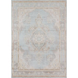 Vierzon Oriental Indoor Rug