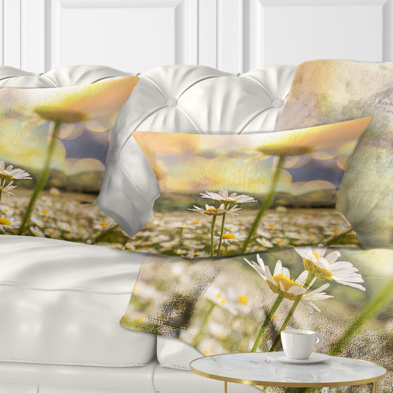 Coussin Schafer