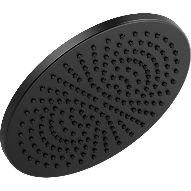 Single-Setting Rain Adjustable Shower Head, Matte Black