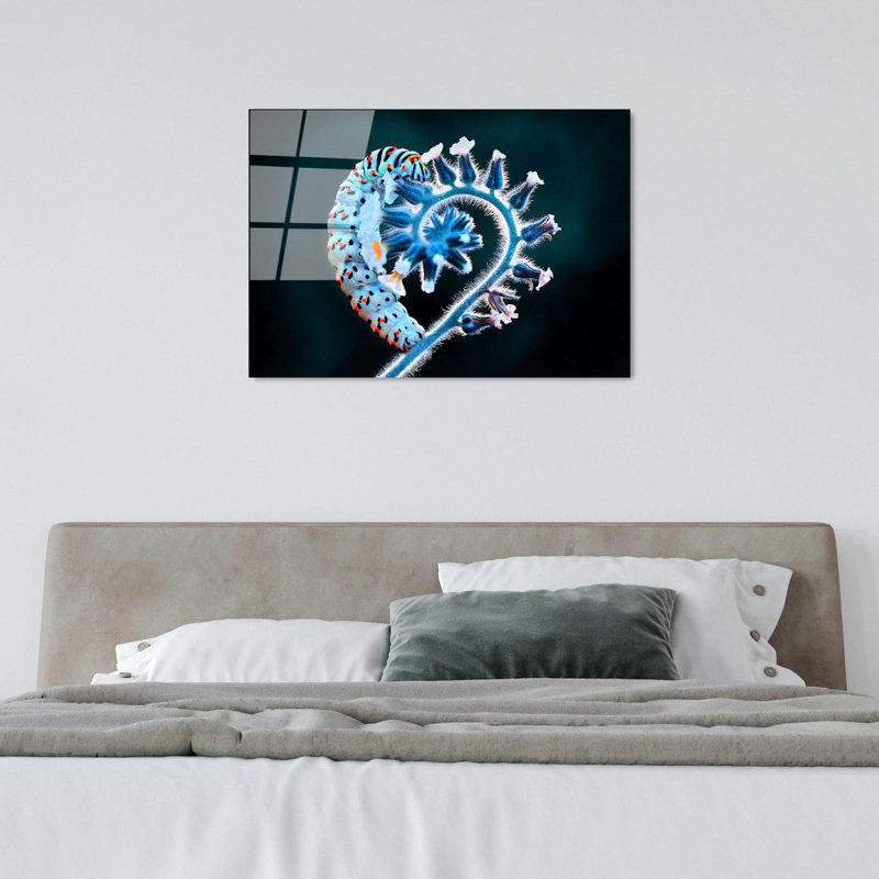 Boze Wall Decor