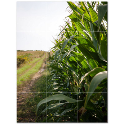 Farm Photo 6'' x 6'' Satin Ceramic Decorative Mural