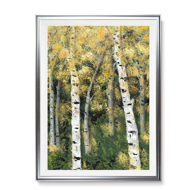 «Birch Treeline III», reproduction, H 24 po x l 20 po x 1,5 po, Cadre argenté