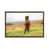 Brown Framed