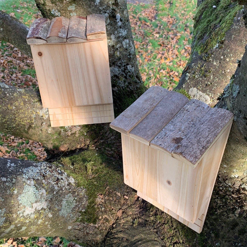 Izaguirre Mounted Bat House